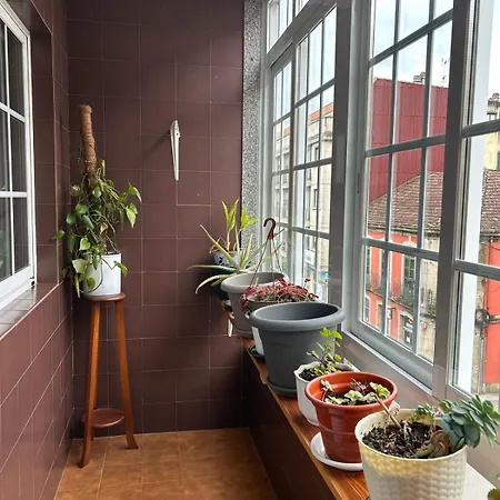 Welcome Apartment *